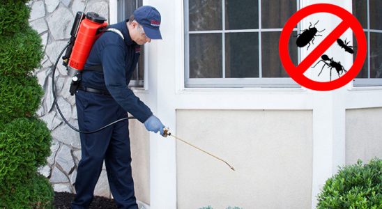 Karakoçan Böcek İlaçlama böcek ilaçlama ve haşere kontrolü — ilaclama-tr.com